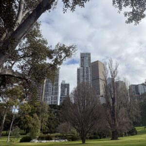 City Park